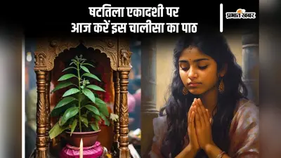 षटतिला एकादशी पर करें इस चालीसा का पाठ