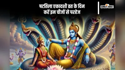 षटतिला एकादशी व्रत के दिन इन चीजों के सेवन से करें परहेज
