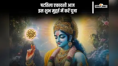 षटतिला एकादशी का व्रत करने से इन पापों से मिलेगी मुक्ति, इस दिन करें ये आसान काम
