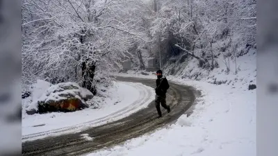 Snowfall Video: बर्फबारी से सफेद चादर में लिपटी राजौरी, किसी वंडरलैंड से कम नहीं है यह नजारा, देखें वीडियो