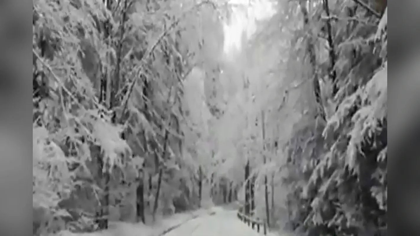 Storm Alert: 48 घंटे तक मूसलाधार बारिश, बवंडर का खतरा, भयंकर बर्फीले तूफान की चपेट में अमेरिका