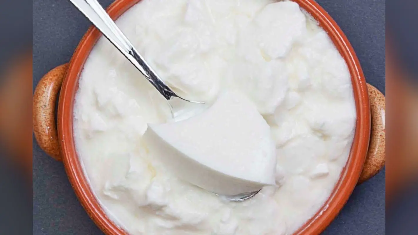 Curd in Morning: सुबह-सुबह दही खाने से मिलेगा इन बीमारियों से छुटकारा, आज से ही नाश्ते में शामिल करें