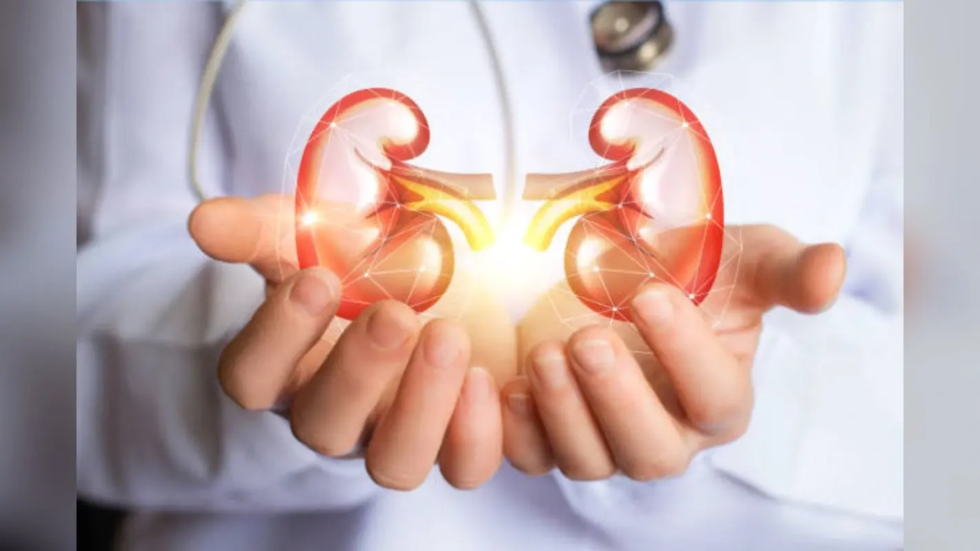 Health Tips: अपनी किडनियों को रखना चाहते हैं हेल्दी? डेली रूटीन में शामिल करें ये आदतें