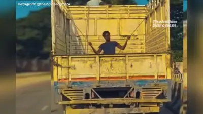 WATCH: जिंदगी में इतना Chill करते हुए आपने कभी किसी को नहीं देखा होगा, यकीन न आये तो देखें Viral Video