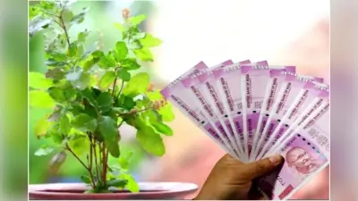 Tulsi Remedies For Wealth : आपके घर में भी होगी पैसों की बारिश, अपनाएं तुलसी के यह अचूक उपाय