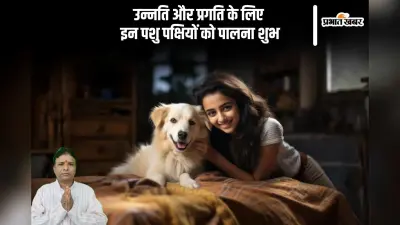 Vastu Tips: कौन सा पालतू जानवर आपके घर ला सकता है गुडलक, खुशहाली और समृद्धि