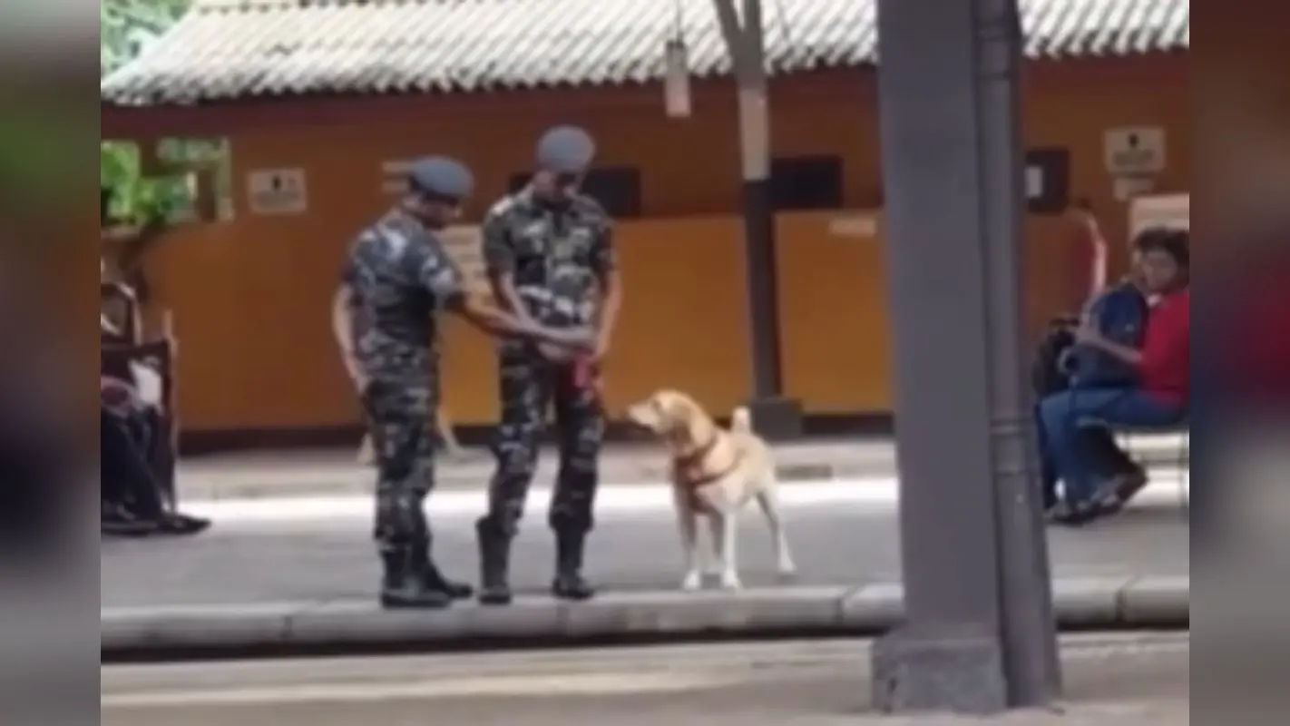 VIRAL VIDEO: मिलिट्री डॉग का मस्ती भरा डांस, सड़क पर खेलते वीडियो वायरल