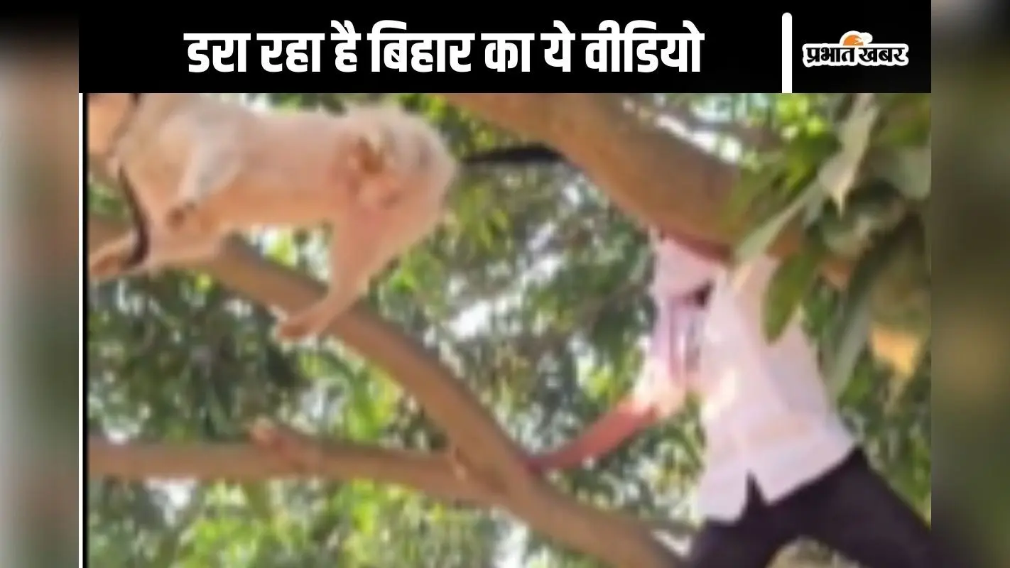 Viral Video : कुत्ते को रस्सी से बांधकर लटकाया, आग में झुलसाया, बिहार के आलम का ये वीडियो कर रहा है विचलित