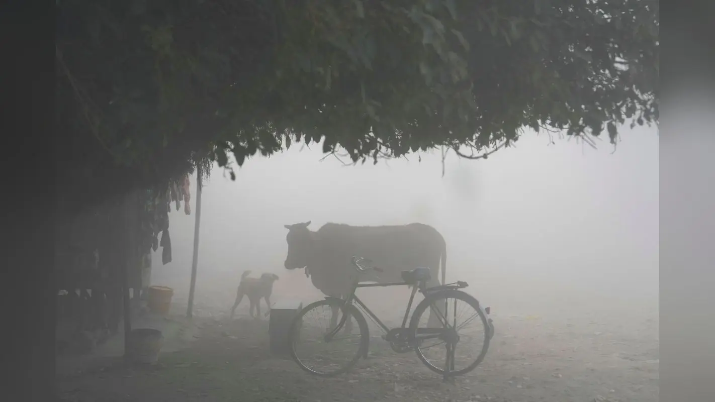 Kal Ka Mausam: पहाड़ पर बर्फ गिरने से शनिवार को सर्द होगा बिहार, ठंडी पछुआ हवा करेगी दिन भर टॉर्चर