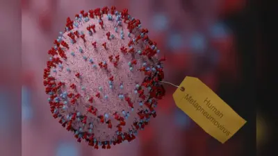 HMPV Virus: क्या कोरोना की ही तरह घातक साबित होगा एचएमपीवी वायरस? जानें WHO का क्या है कहना