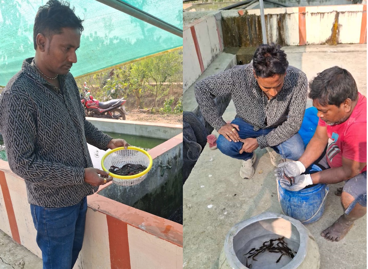 भागलपुर में शुरू हुआ रंगीन मछलियों का उत्पादन, मिलने लगे झारखंड से ऑर्डर