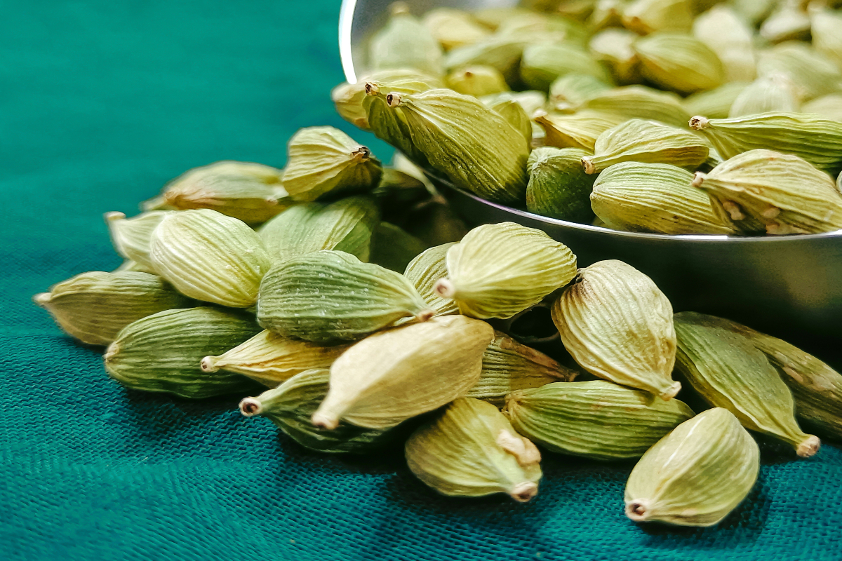 Health Tips: क्या होता है जब आप हर रात सोने से पहले चबाते हैं 2 इलायची, जानें चौंकाने वाले फायदे