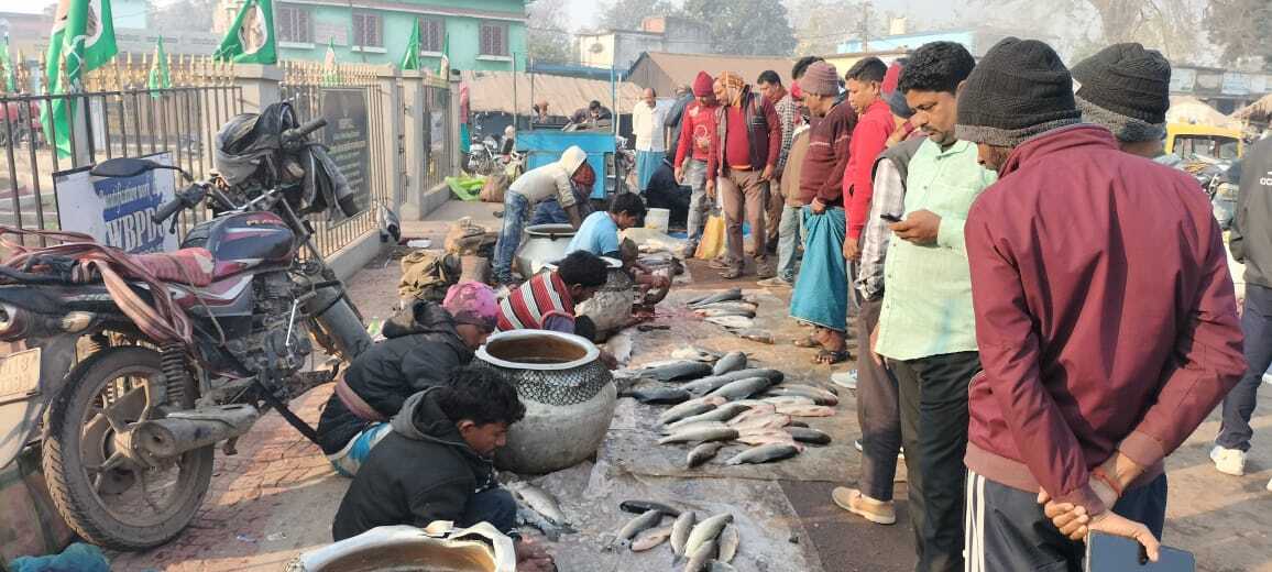 सिझानो: लिट्टीपाड़ा में भी मछली की जमकर हुई खरीदारी