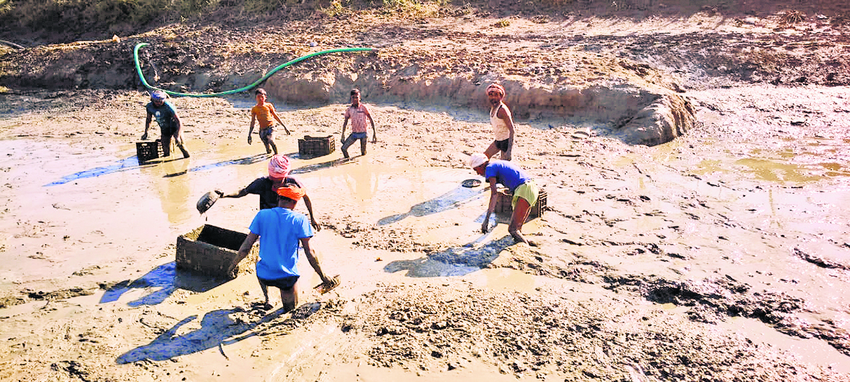 जिले के निबंधित 400 मछुआरों को मिलेगा सहायता भत्ता