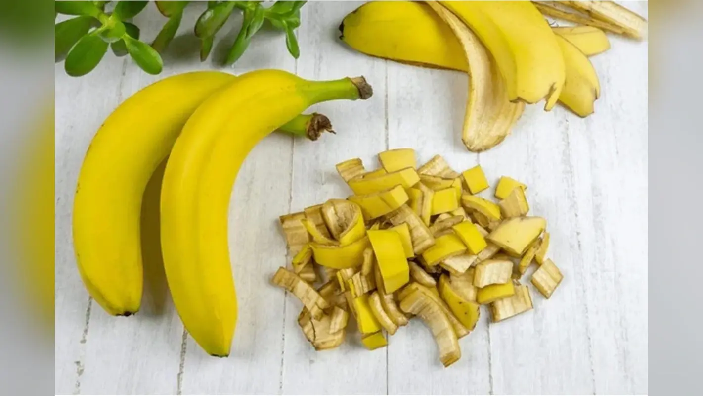 Banana Peel Benefits: केले के छिलके से चमक उठेगा अपका घर और स्किन,जानें यह ट्रिक्स