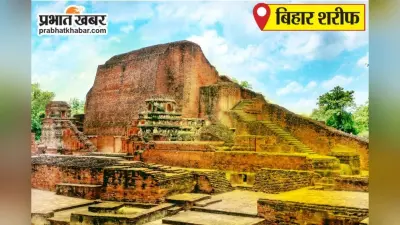 शेखपुरा में सूखे का खतरा: पुरवइया हवा और कम बारिश से धान रोपनी प्रभावित, किसानों की बढ़ी चिंता