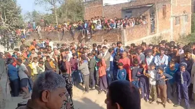 Water Bird Census: बिहार में कम आ रहे मेहमान, पटना में इस साल महज 137 प्रवासी पक्षी ही मिले