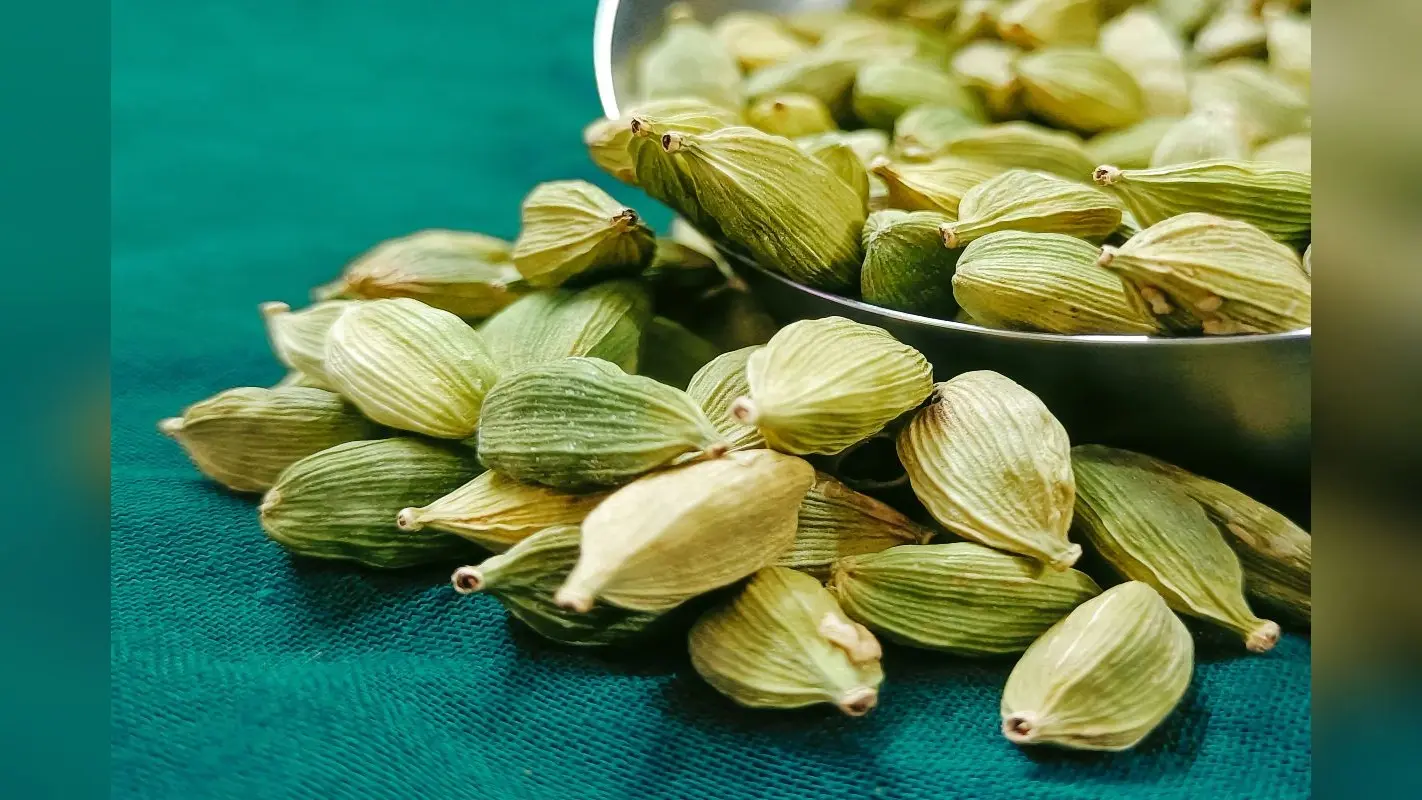 Health Tips: क्या होता है जब आप हर रात सोने से पहले चबाते हैं 2 इलायची, जानें चौंकाने वाले फायदे