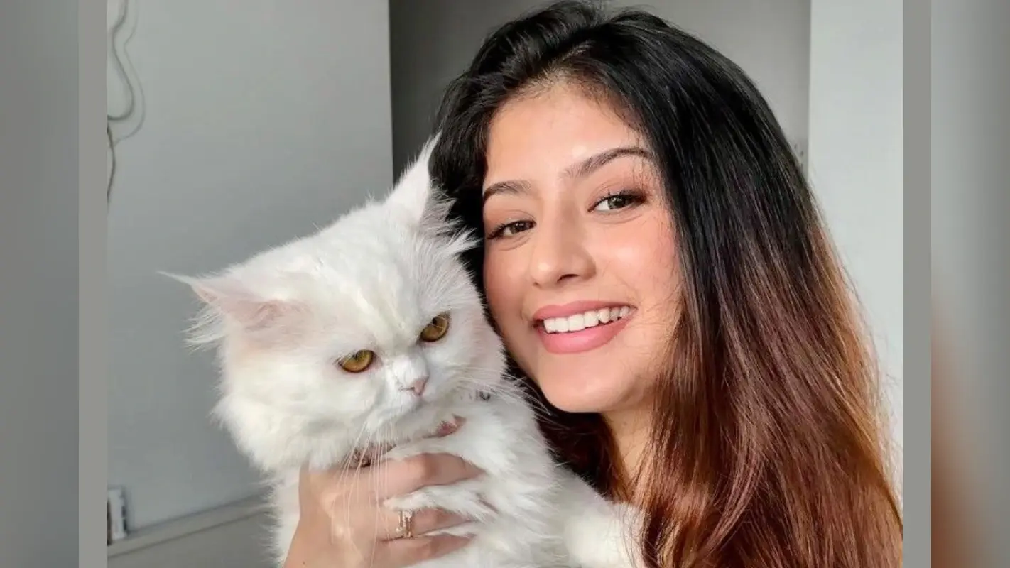 Cat Lovers Personality Traits: कैट लवर्स की ये 10 खूबियां बनाती हैं उन्हें खास, क्या आप भी हैं इनमें शामिल?