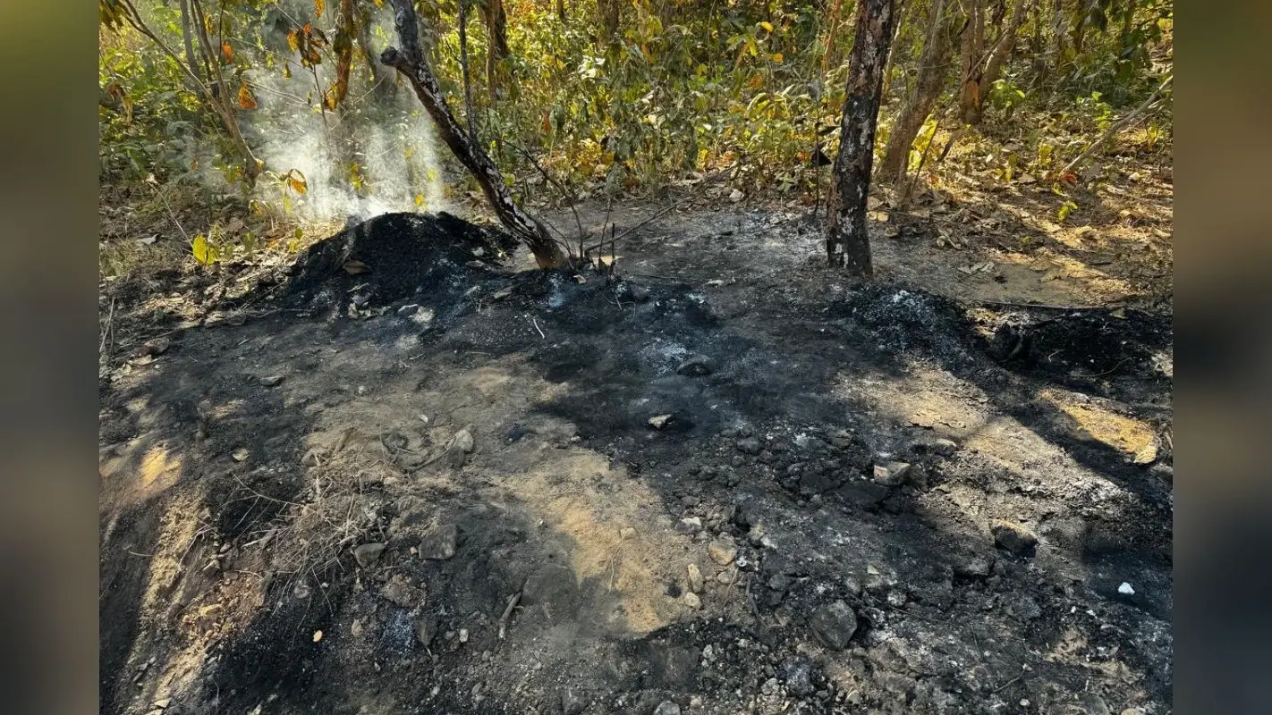 हजारीबाग में अवैध कोयला लदे 3 ट्रैक्टर को जलाया, चालकों को पेड़ से बांधकर पीटा