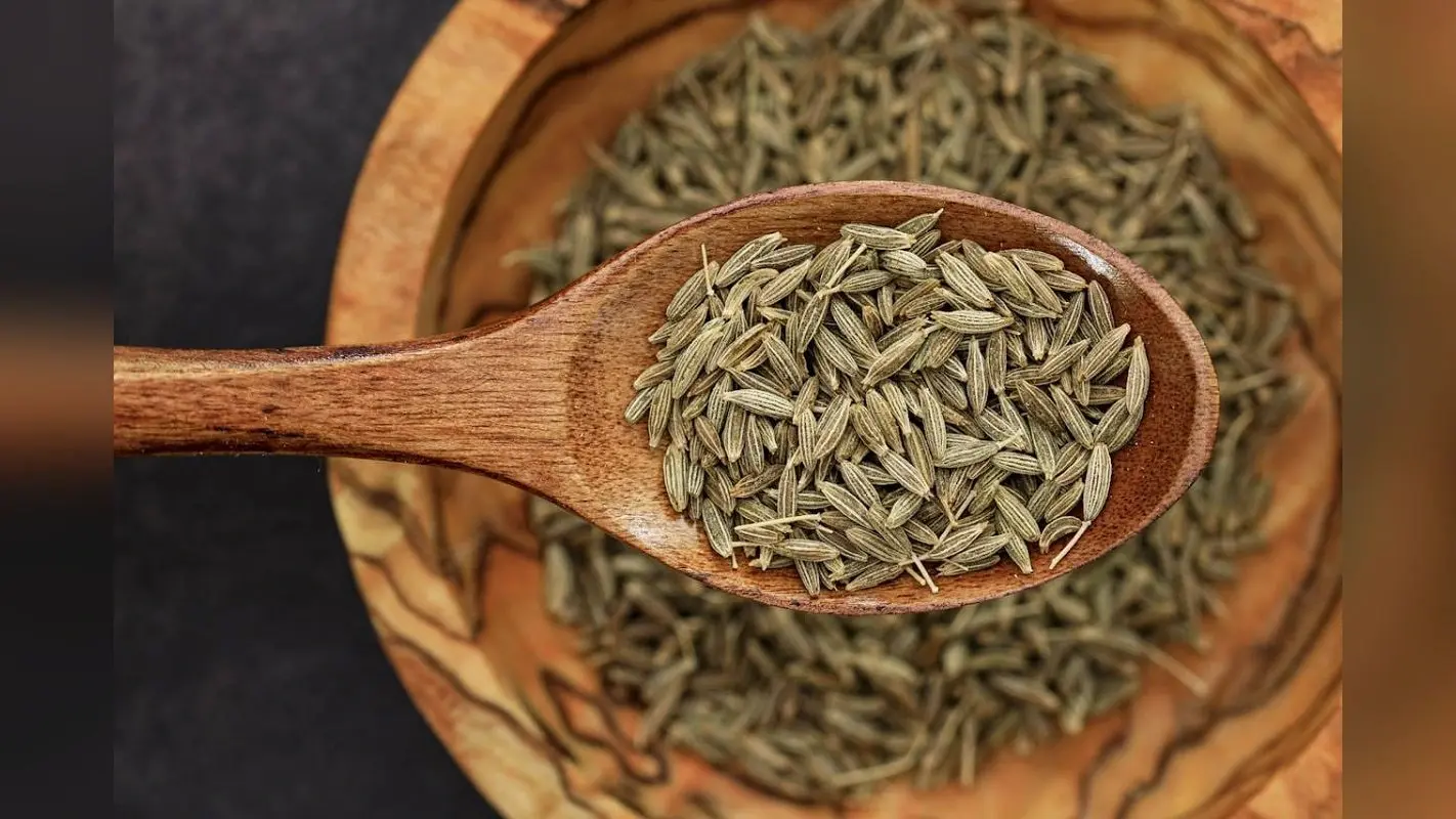 Cumin Health Benefits: महज मसाला समझने की भूल ना करें , आपको स्वस्थ भी रखेगा एक चम्मच जीरा