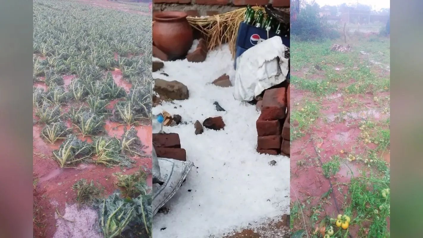 बलियापुर में गरज के साथ हुई ओला वृष्टि, किसानों को भारी नुकसान, बिजली आपूर्ति भी ठप