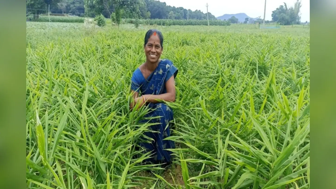 Success Story: कभी दो वक्त रोटी के लिए थीं मोहताज, खेतीबाड़ी की इस तकनीक से बदली किस्मत, शीला उरांव की कमाई पर नहीं होगा यकीन