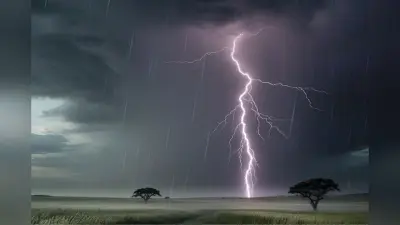 Lightning Strike Havoc: झारखंड में थम नहीं रहा आसमानी बिजली का कहर, पांच साल में वज्रपात से 1700 लोगों की मौत