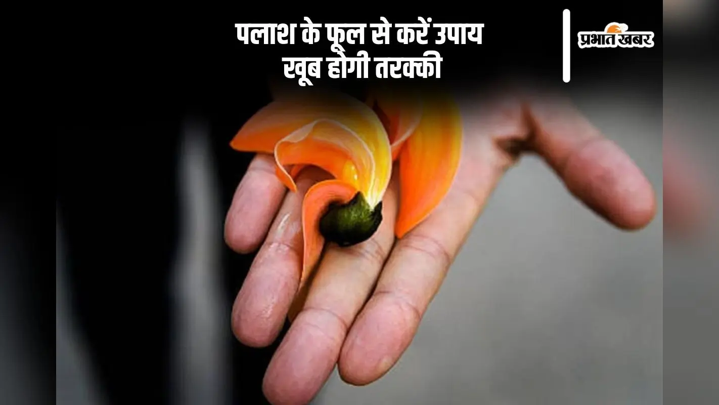 पलाश के फूलों से करें ये उपाय, कभी खाली नहीं होगी तिजोरी