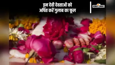 गुलाब के फूल को इन देवी-देवताओं को कर सकते हैं अर्पित
