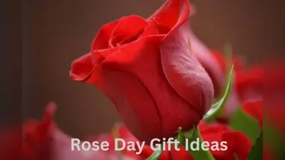 Rose Day Gift Ideas: रोज डे पर अपनी गर्ल फ्रेंड को दें ये खास गिफ्ट, देखते ही कहेगी ‘Wow so Sweet’