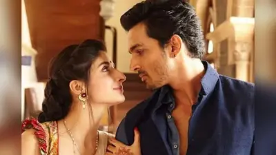 Sanam Teri Kasam Lifetime Collection: 15 करोड़ के बजट में बनी सनम तेरी कसम हुई हिट, जानें कितना किया कलेक्शन