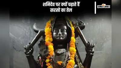 शनिदेव पर क्यों चढ़ाते हैं सरसों का तेल, जानिए रोचक कहानियां