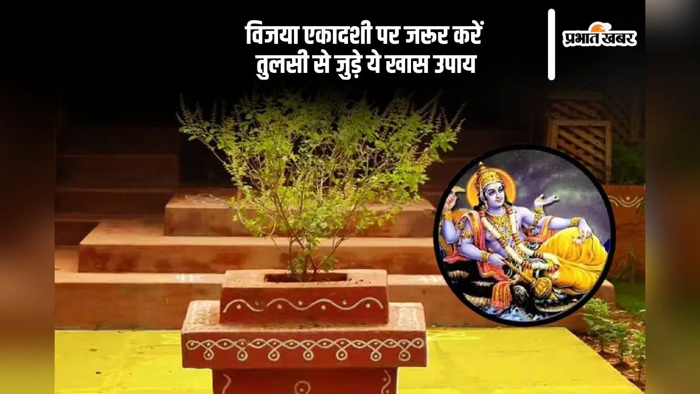 विजया एकादशी पर करें तुलसी से जुड़े ये उपाय, जीवन में आएंगी खुशियां