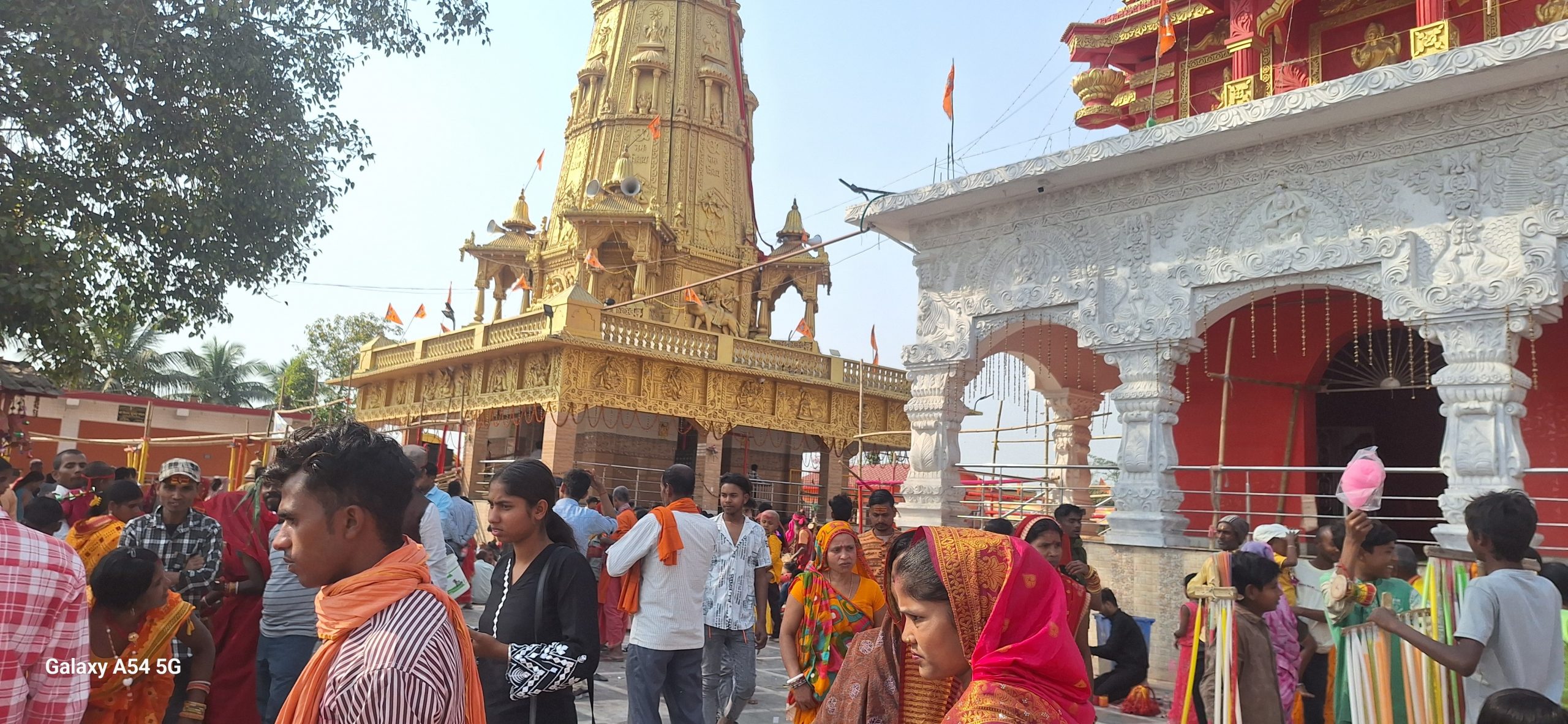 50 हजार श्रद्धालुओं ने किया जलाभिषेक