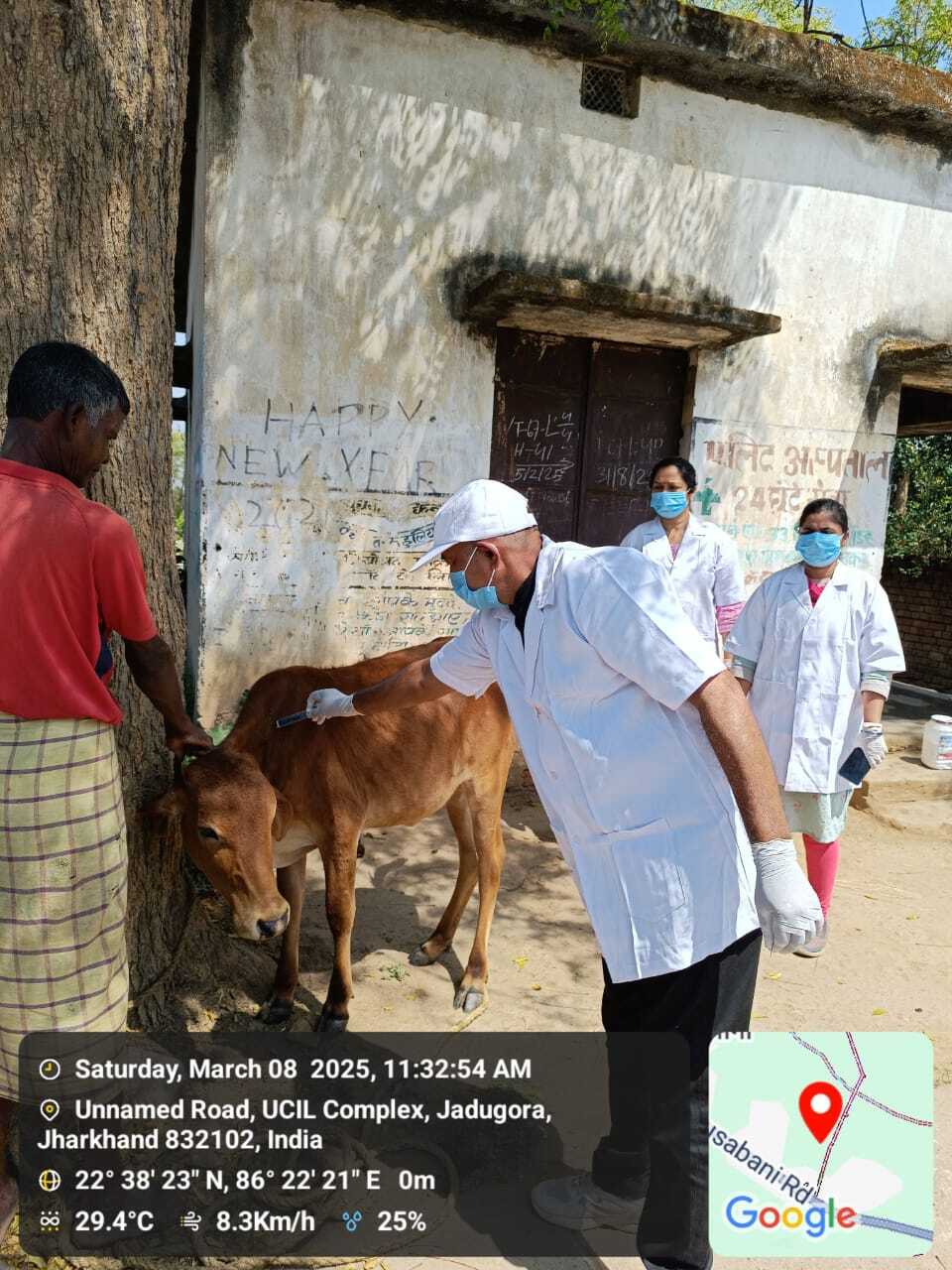 East Singhbhum News : दिगड़ी गांव में अबतक अज्ञात बीमारी से 20 पशुओं की मौत, डॉक्टरों की टीम ने 150 पशुओं का वैक्सीनेशन किया
