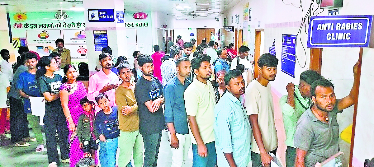 Ranchi News : एक दिन में 539 लोगों ने एंटी रैबीज का इंजेक्शन लिया, इसमें 85 पहली बार वाले