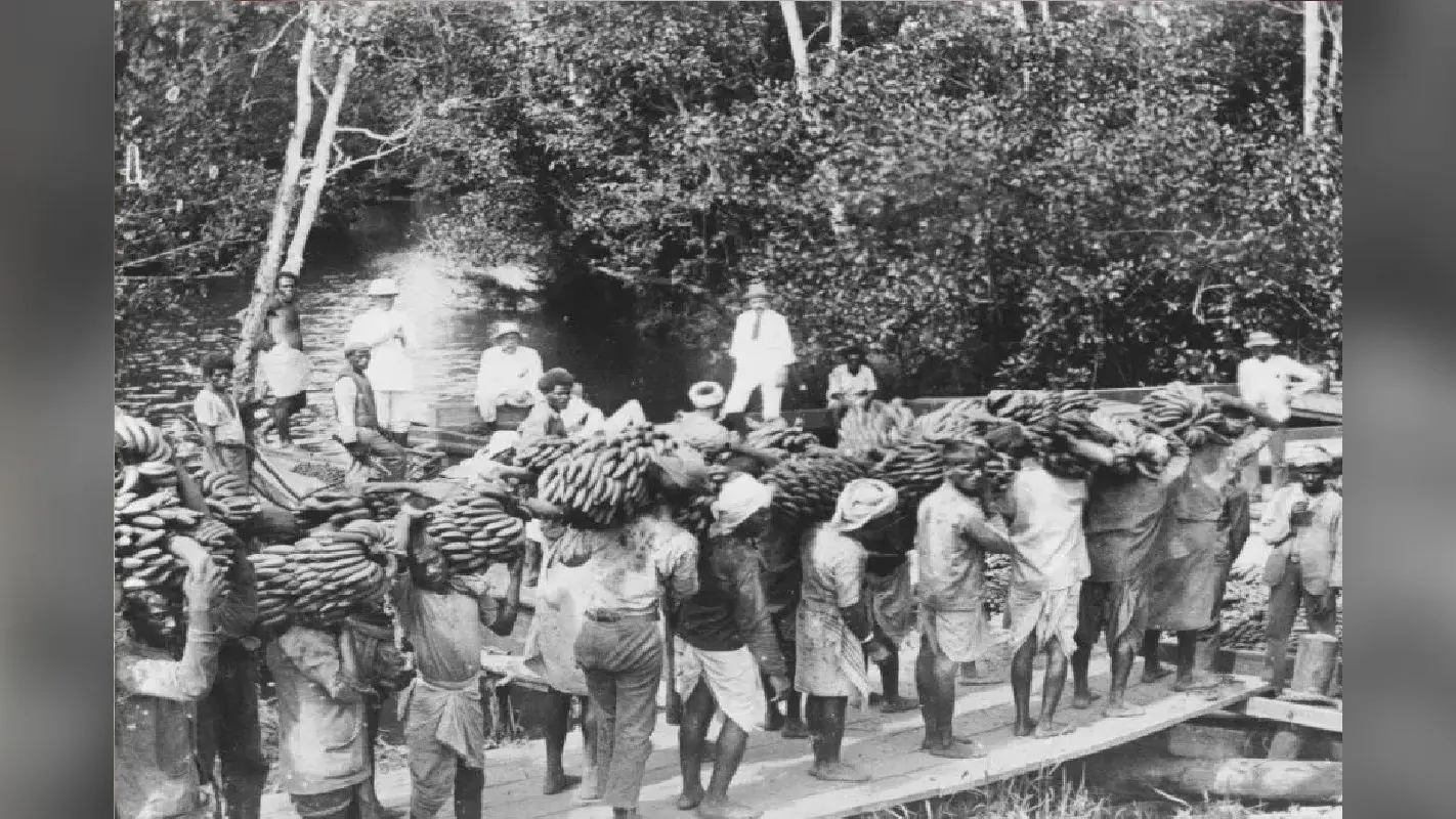 सिर्फ 36 बिहारी मजदूर और गांव नहीं, बसा दिया पूरा देश