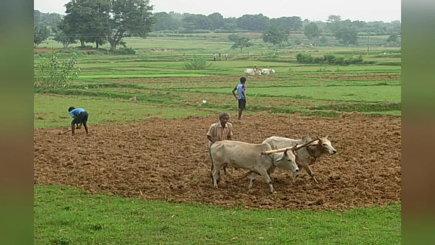 Bihar Bhumi: बिहार के जमीन मालिकों के लिए खुशखबरी, अब इस दिन तक जमा कर सकेंगे स्वघोषणा पत्र