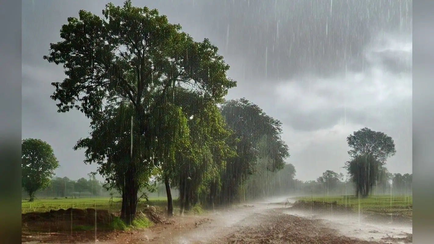 Bihar Weather: बिहार के तीन जिलों में अगले 48 घंटे होगी बारिश, बढ़ेगी ठंड, IMD ने जारी किया येलो अलर्ट