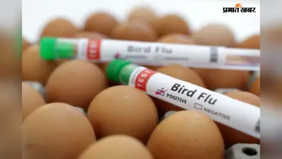 Bird Flu: बर्ड फ्लू के कारण बिहार के स्कूलों से जुड़ा बड़ा फैसला आया, अभी इस चीज पर पूरी तरह रहेगी रोक…