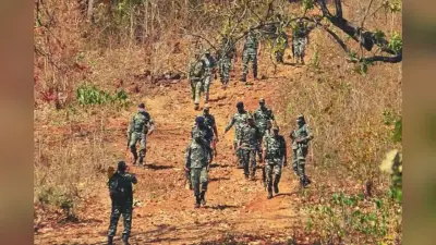 छत्तीसगढ़ के सुकमा में सुरक्षाबलों का बड़ा ऑपरेशन: 16 नक्सलियों का एनकाउंटर, कंधे पर शव लादकर लौट रहे जवान