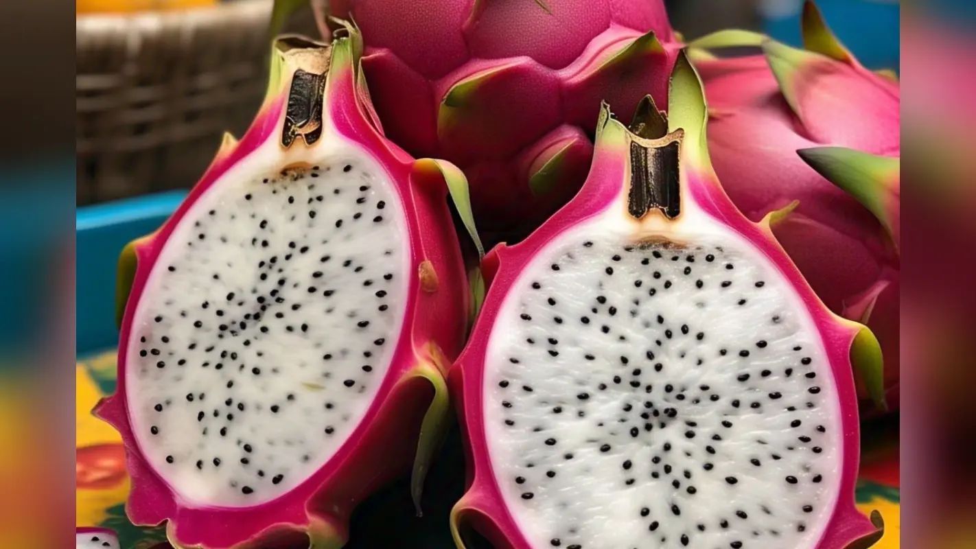 Dragon Fruit Benefits: स्किन से लेकर कैंसर जैसी बिमारियों के लिए वरदान है यह फल, फायदे जान आप हैरान हो जाएंगे