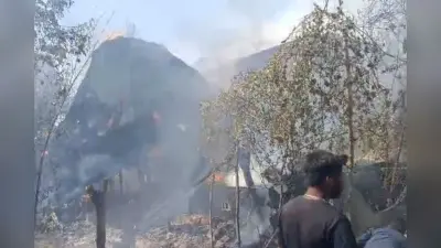 Video: हजारीबाग के बड़कागांव में आठ बकरियां जिंदा जलीं, छह लाख की संपत्ति जल कर राख