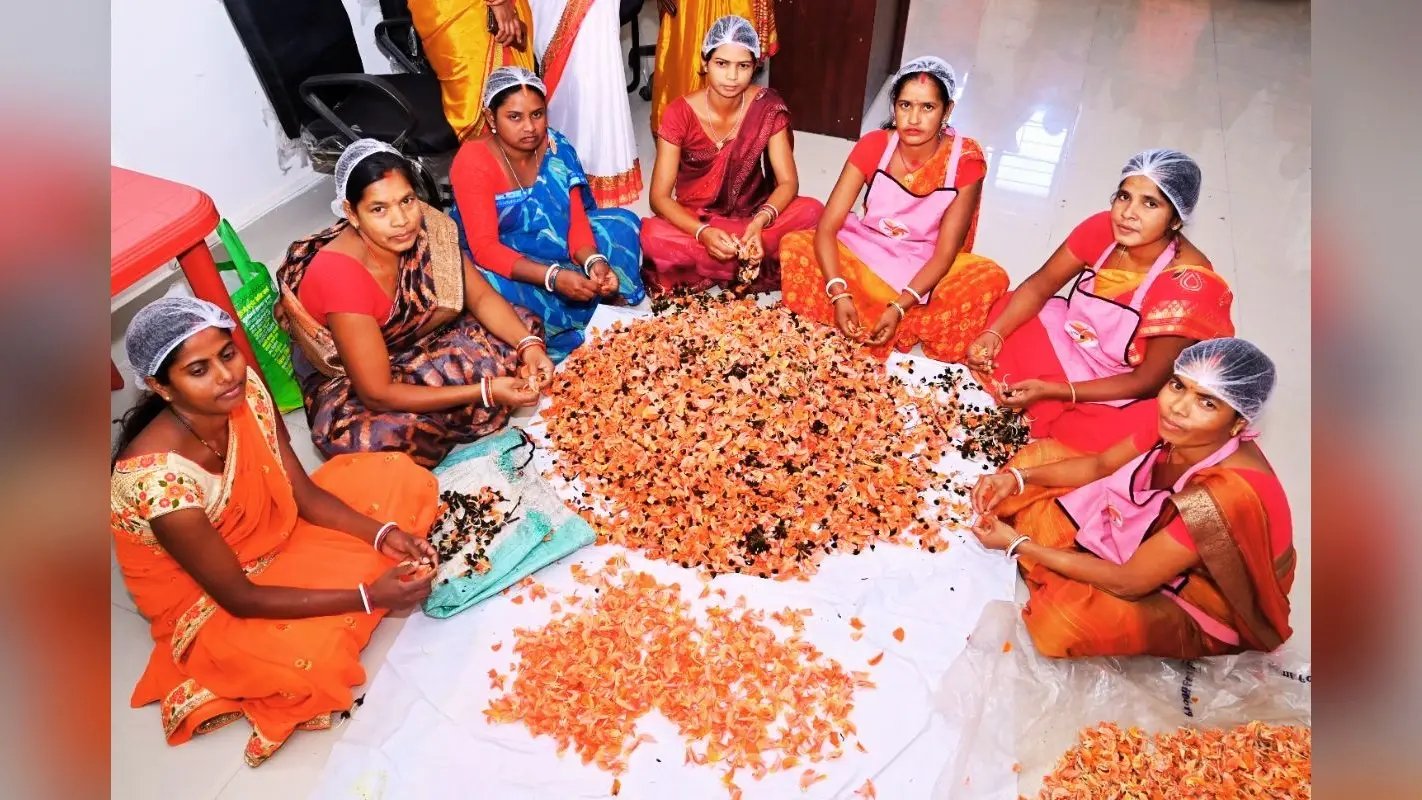 Holi 2025: झारखंड के बाजार में हर्बल गुलाल, महिलाएं खुद कर रहीं पैकेजिंग और मार्केटिंग