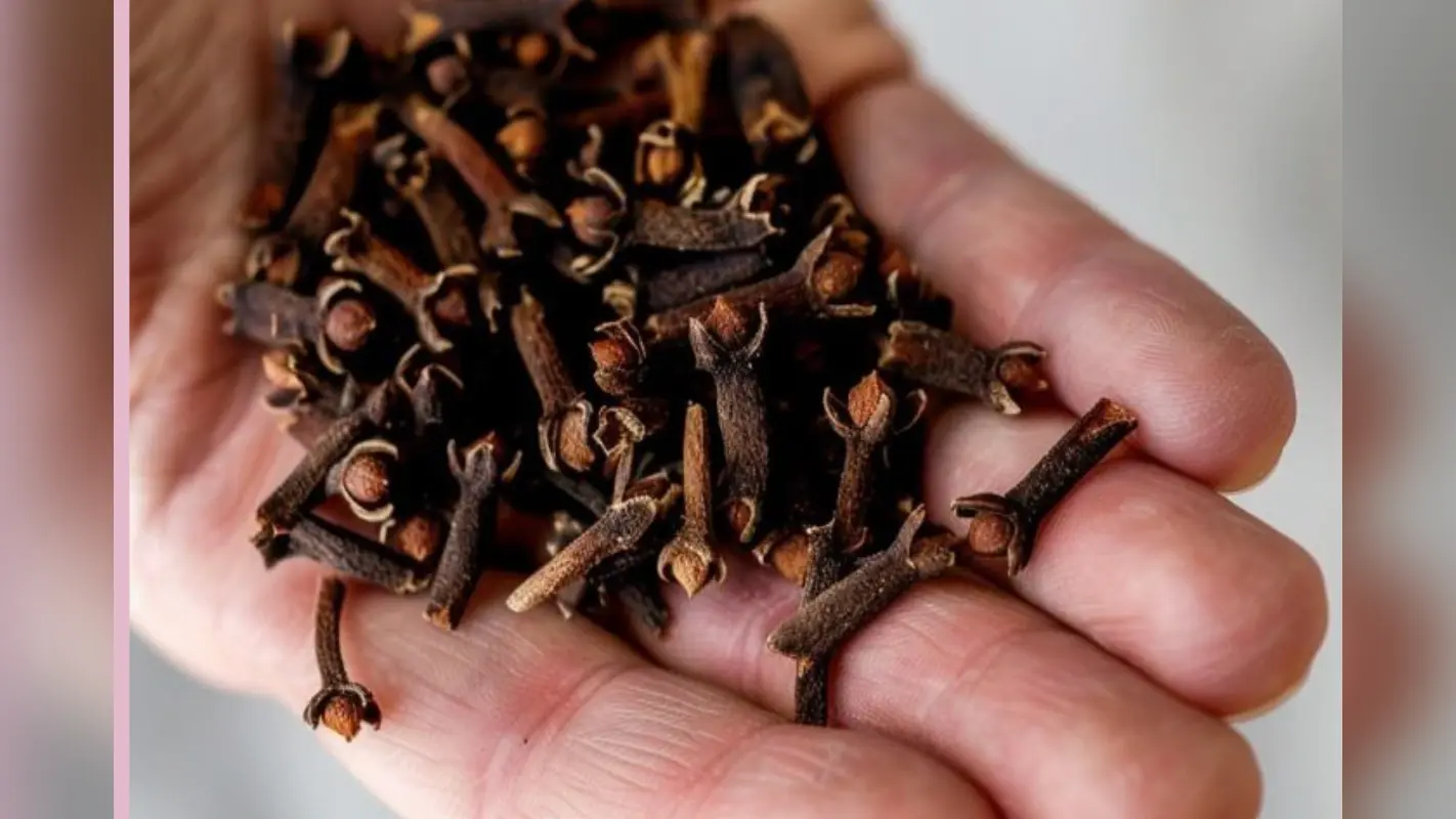 Long pepper & Clove Benefits: मुंह में रातभर लौंग या पिपली रखने से क्या होता है…