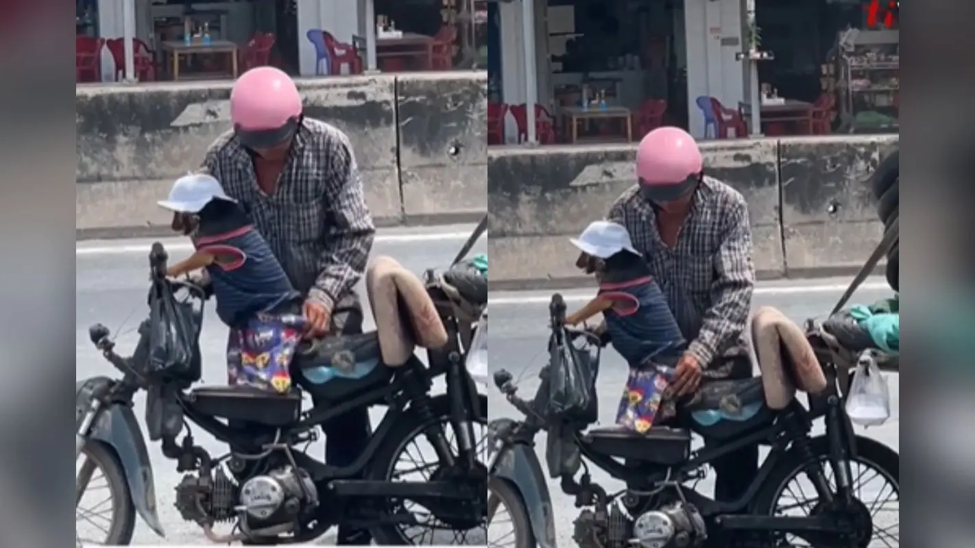 Viral Video: दिल छू लेगा आदमी का कुत्ते के प्रति पिता जैसा प्यार, वीडियो वायरल