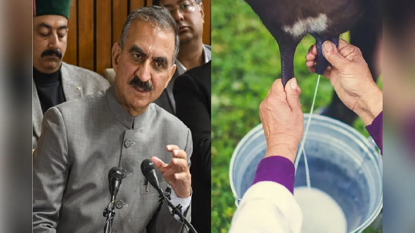 Budget 2025: हिमाचल प्रदेश में बढ़े दूध के दाम, सुक्खू सरकार का बजट में ऐलान