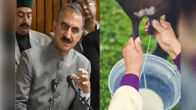 Budget 2025: हिमाचल प्रदेश में बढ़े दूध के दाम, सुक्खू सरकार का बजट में ऐलान