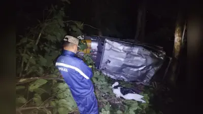 Road Accident: सिक्किम में 100 फीट गहरी खाई में गिरी गाड़ी, IIT ISM धनबाद के 10 स्टूडेंट्स घायल
